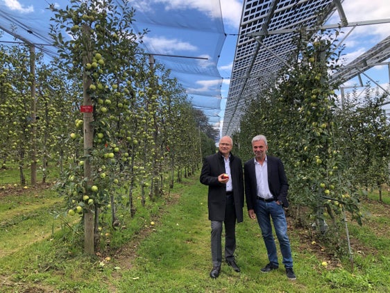 Die Landwirtschaftslandesräte Arnold Schuler (r., Südtirol) und Hans Seitinger (Steiermark) besichtigen die Agri-Photovoltaik-Anlage in Haidegg. (Foto: Land Steiermark)