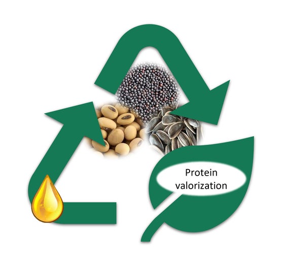 Lo studio di Rodrigo Gonzales Ortega per ricavare proteine migliori dagli oli vegetali senza solventi e senza alte temperature (Foto: ASP)