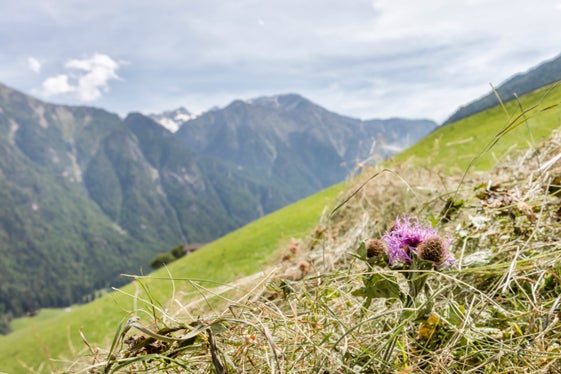 La PAC mira allo sviluppo sostenibile dell'agricoltura anche di montagna. (Foto: IDM/Frieder Blickle)