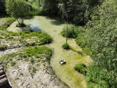Im und rund um den neu gestalteten Teich am Toffringbach finden zahlreiche Tiere Nahrung, Schutz und Rückzugsräume. (Foto: LPA/Landesamt für Wildbach- und Lawinenverbauung Nord in der Agentur für Bevölkerungsschutz)