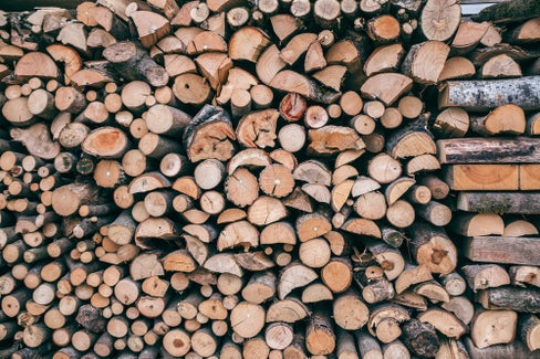 Die Landesregierung hat Richtlinien für die Errichtung von Holzlagerplätzen, Holzlagerplätzen mit Flugdächern und Holzlagerhütten geregelt. (Foto: Pexels)