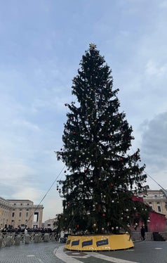 L'abete rosso, alto 27 metri, è stato abbattuto a Santa Valburga nel comune di Ultimo alla fine di novembre e trasportato a Roma. (Foto: USP/Katharina Fleischmann)