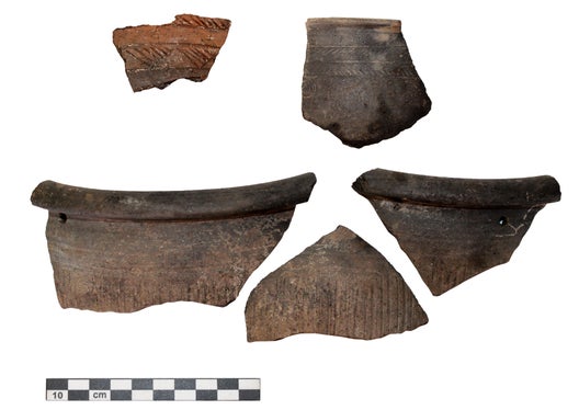 Bei den Grabungsarbeiten wurden Teile von Keramikgefäßen gefunden, diese gehörten zum Alltagsgeschirr der Siedlerinnen und Siedler. (Foto: LPA/Amt für Archäologie)