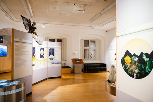 Mit der finanziellen Unterstützung des Betriebes Landesmuseen (im Bild das Naturmuseum Südtirol) werde sichergestellt, dass die museale Vermittlungs- und Forschungstätigkeit planungssicher und unabhängig durchgeführt werden könne, sagt Landesrat Philipp Achammer. (Foto: LPA/Claudia Corrent)