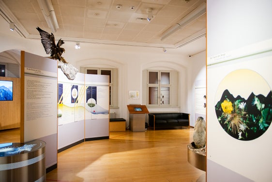 Grazie al sostegno finanziario dell'Azienda Musei provinciali (nella foto il Museo di Scienze Naturali dell’Alto Adige) si garantisce che le attività didattiche e di ricerca dei musei possano essere svolte in modo pianificato e indipendente", afferma l’assessore provinciale Philipp Achammer. (Foto: USP/Claudia Corrent)