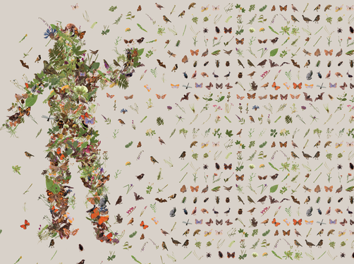 Im Naturparkhaus Texelgruppe in Naturns wird die Sonderausstellung Echoed Nature! Die Biodiversität im Wandel der Zeit gezeigt: Die interaktive Ausstellung verdeutlicht, wie sich die Artenvielfalt in Südtirol im Laufe der Jahre verändert hat. (Foto: LPA/mischer'traxler studio)