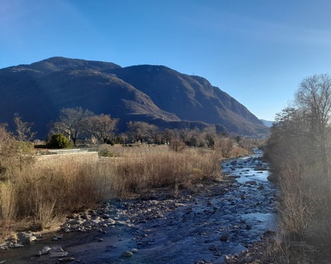 La vegetazione ripariale lungo il Talvera a Bolzano viene potata con regolarità; Vista lungo il fiume dal ponte di Sant'Antonio il 30 gennaio 2022 (Foto: ASP/Maja Clara)