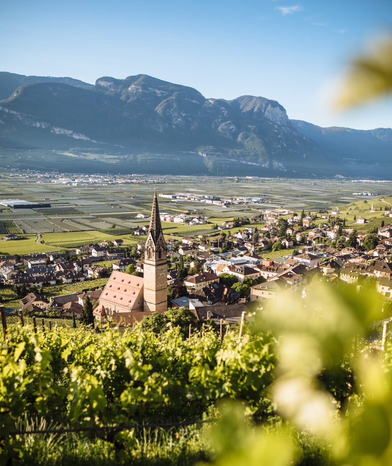 Die Landesregierung hat die Bauleitplanänderung der Gemeinde Tramin genehmigt: Damit kann der Wertstoffhof vom Ortszentrum in die Nähe des Gewerbegebiets verlegt werden. (Foto: IDM/Benjamin Pfitscher)