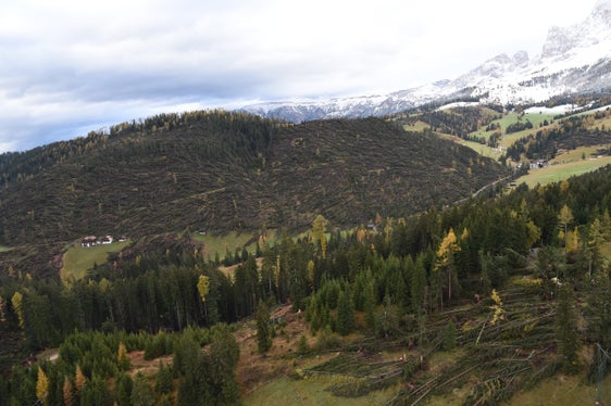 Cinque anni fa, la tempesta Vaia ha devastato una fetta consistente del patrimonio faunistico dell'Alto Adige e delle Dolomiti; l'immagine mostra i danni ingentissimi a Passo Carezza. (Foto: ASP/Archivio Centro Funzionale provinciale)
