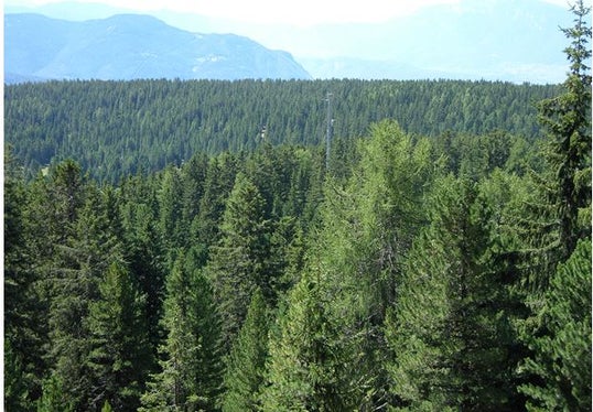Die CO2-Langzeit-Messstation Ritten-Grünwald liegt auf 1730 Metern Meereshöhe und ist Europas höchstgelegene Messstelle. (Foto: LPA/Abteilung Forstwirtschaft)