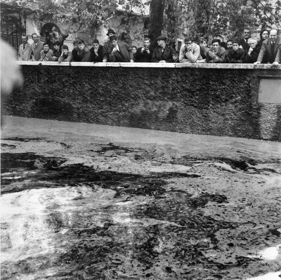 Cittadini affacciati al fiume dal lungadige durante l'alluvione del 4 novembre 1966. Il progetto Arge Alp sulla comunicazione del rischio alluvionale, recentemente avviato e coordinato dalla Provincia autonoma di Trento, punta a rafforzare la consapevolezza della popolazione sui rischi alluvionali. (Foto AFSP, archivio Studio Rensi)