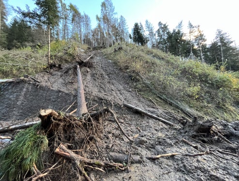 Der Hangbereich oberhalb der Landesstraße nach Kastelruth wurde stark in Mitleidenschaft gezogen und wird nun in höchster Dringlichkeit gesichert. (Foto: Landesstraßendienst)