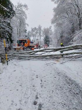 Forti disagi causati dal maltempo in Alto Adige. Nelle scorse ore si sono registrati notevoli disagi alla circolazione, con strade bloccate, anche a seguito di numerose cadute di alberi. Gli uomini della Protezione civile sono in costante allerta, pronte per intervenire nelle zone della provincia colpite dalle forti nevicate. (Foto: Vigili del fuoco volontari dell'Alto Adige)