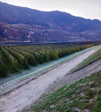 In un tratto della pista ciclabile sono stati installati dei non tessuti come strato di separazione tra il materiale di base e il terreno naturale (Foto: ASP/Ufficio sistemazione bacini montani Sud)