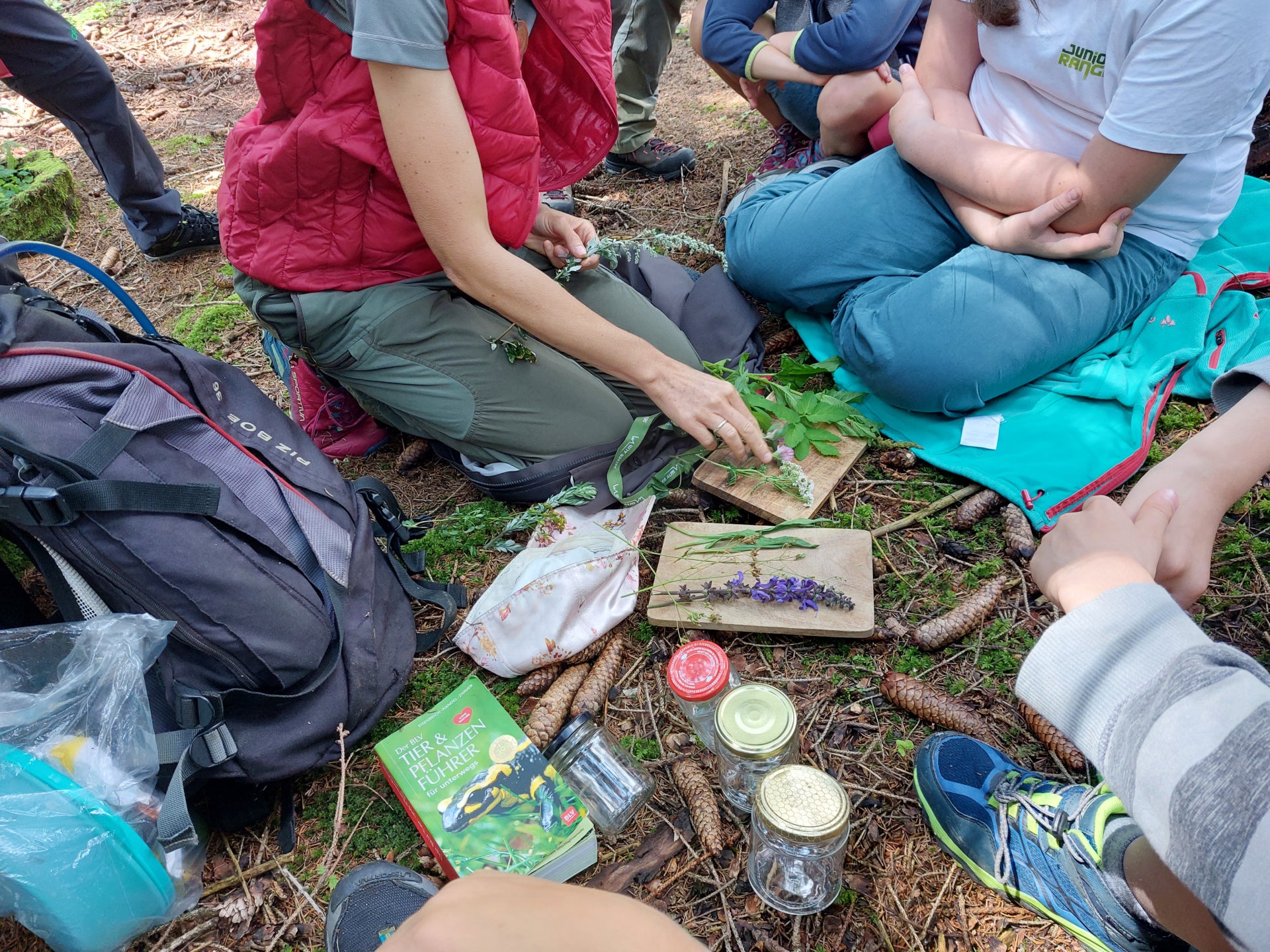 Junior Ranger in Ausbildung: Acht Tage lang sind Kinder im Alter von zehn bis elf Jahren auch im Sommer 2025 wieder mit Experten gemeinsam unterwegs auf den Spuren der Naturschätze. (Foto: AVS/Ralf Pechlaner)