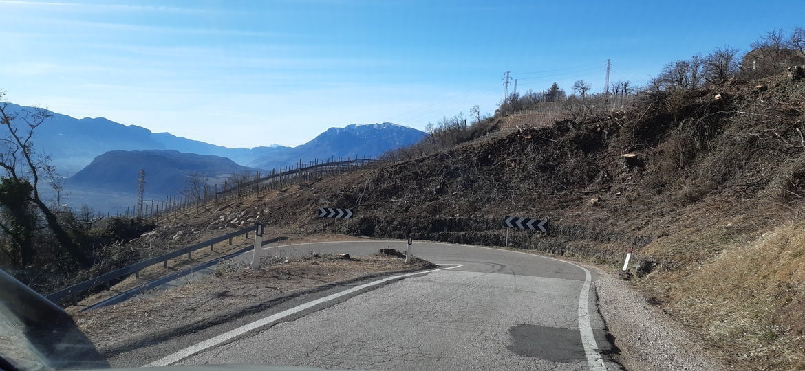 Due stretti tornanti sulla strada che porta a Cologna saranno allargati: questo renderà il paese più facile da raggiungere anche per gli autobus. (Foto: ASP/Sabine Thurner)