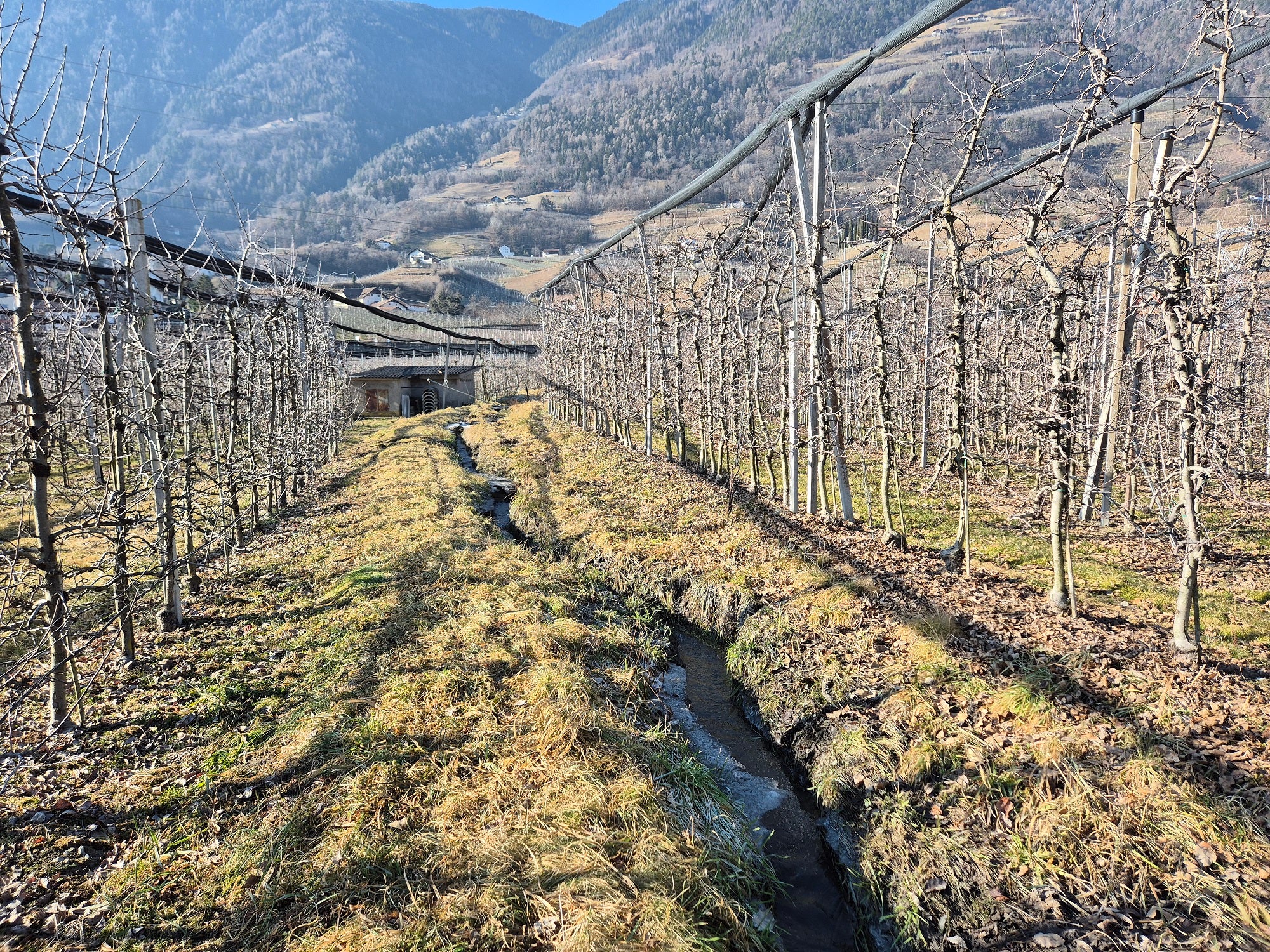 “Solo se le briglie e gli argini sono liberamente accessibili, i dipendenti della Protezione civile, i tecnici dei Bacini montani, i vigili del fuoco del Corpo permanente e i vigili del fuoco volontari possono intervenire rapidamente in caso di eventi di piena e garantire così la protezione della popolazione, delle infrastrutture e dei beni culturali”, sottolinea il direttore dell’Area funzionale Bacini Montani, Fabio De Polo. (Foto: USP/Ufficio Demanio idrico)