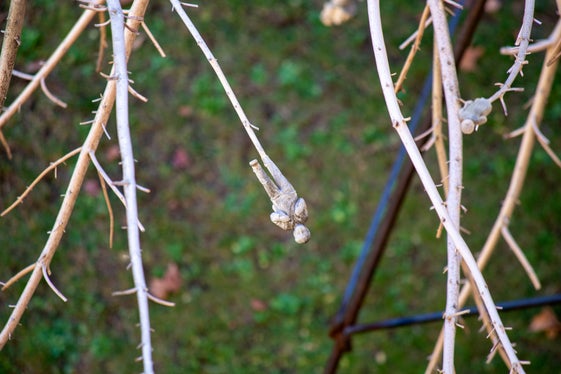 Un dettaglio dell'installazione L'albero dei tutti di Gregor Prugger, esposta ora alla Libera Università di Bolzano (Foto: unibz/Bampa)