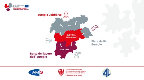 Grafico: Borsa lavoro Euregio (Foto: Euregio)