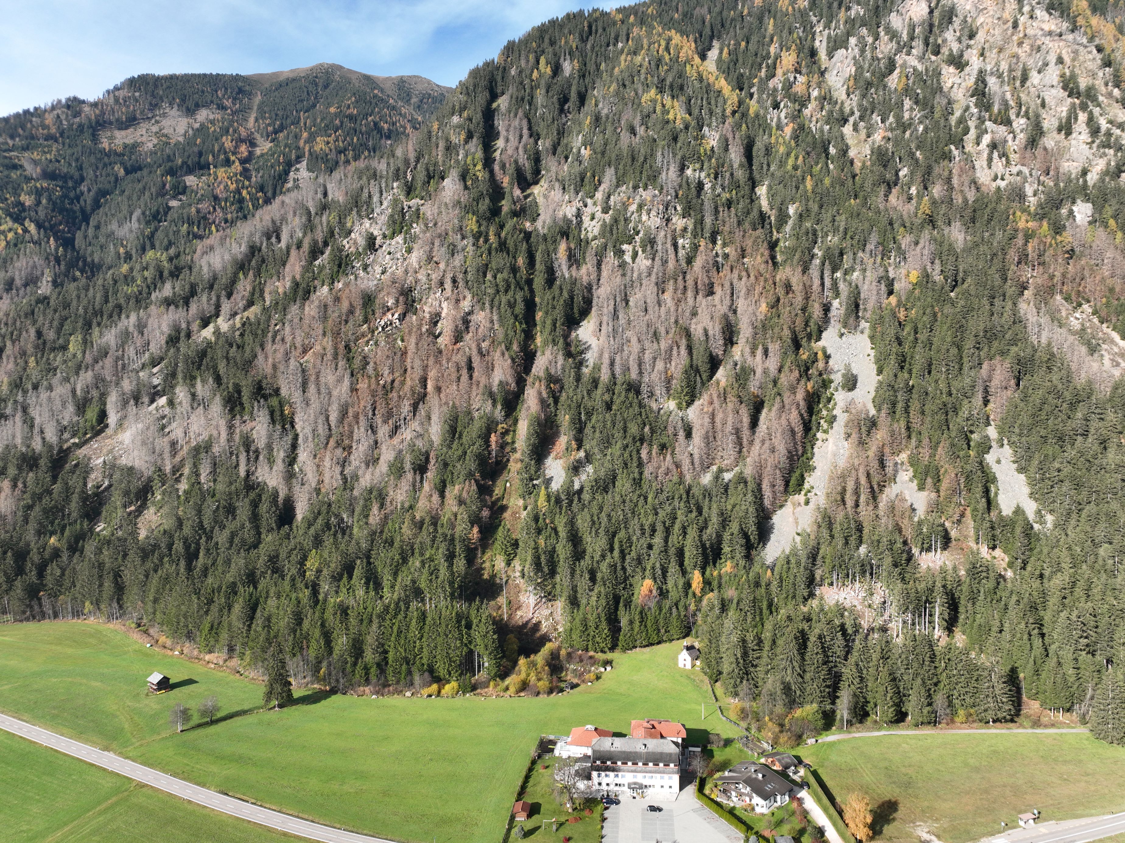 L'infestazione da bostrico: gli alberi di colore grigio erano infestati, ma non offrono più buone condizioni di vita al coleottero. Gli alberi di colore bruno-rossastro sono invece infestati e dovrebbero essere rimossi. Quelli verdi invece, sono ancora un patrimonio boschivo sano. (Foto: ASP/Ripartizione foreste)
