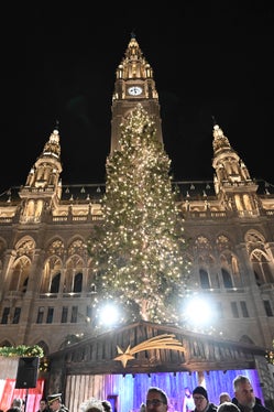 L'albero di Natale è una delle attrazioni del Mercatino di Natale di Vienna. Quest'anno l'Alto Adige ha donato l'albero ai viennesi. (Foto: PID/Christian Jobst)