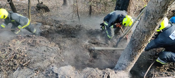 26 Mal brannte es heuer in einem Wald in Südtirol, die meisten Waldbrände wurden durch Fehlverhalten von Menschen ausgelöst. (Foto: LPA/Freiwillige Feuerwehr St. Pankraz)