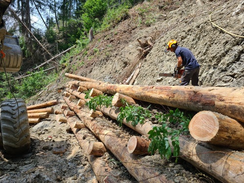 Die Ingenieurbiologie ist eine Form der Bautechnik, bei der lebende Pflanzen oder Pflanzenteile zum Erosionsschutz und zur Stabilisierung von Böschungen oder Ufern eingesetzt werden. (Foto: LPA/Landesamt für Wildbach- und Lawinenverbauung Ost)