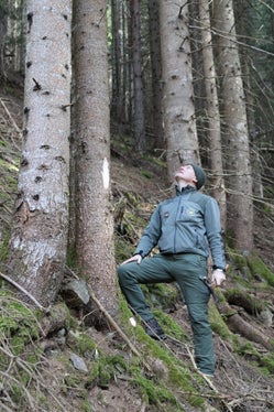 Controllo per diradamento boschivo sul Monte Fondoli (Villandro). (Foto: USP/Azienda forestale dell'Agenzia Demanio provinciale)