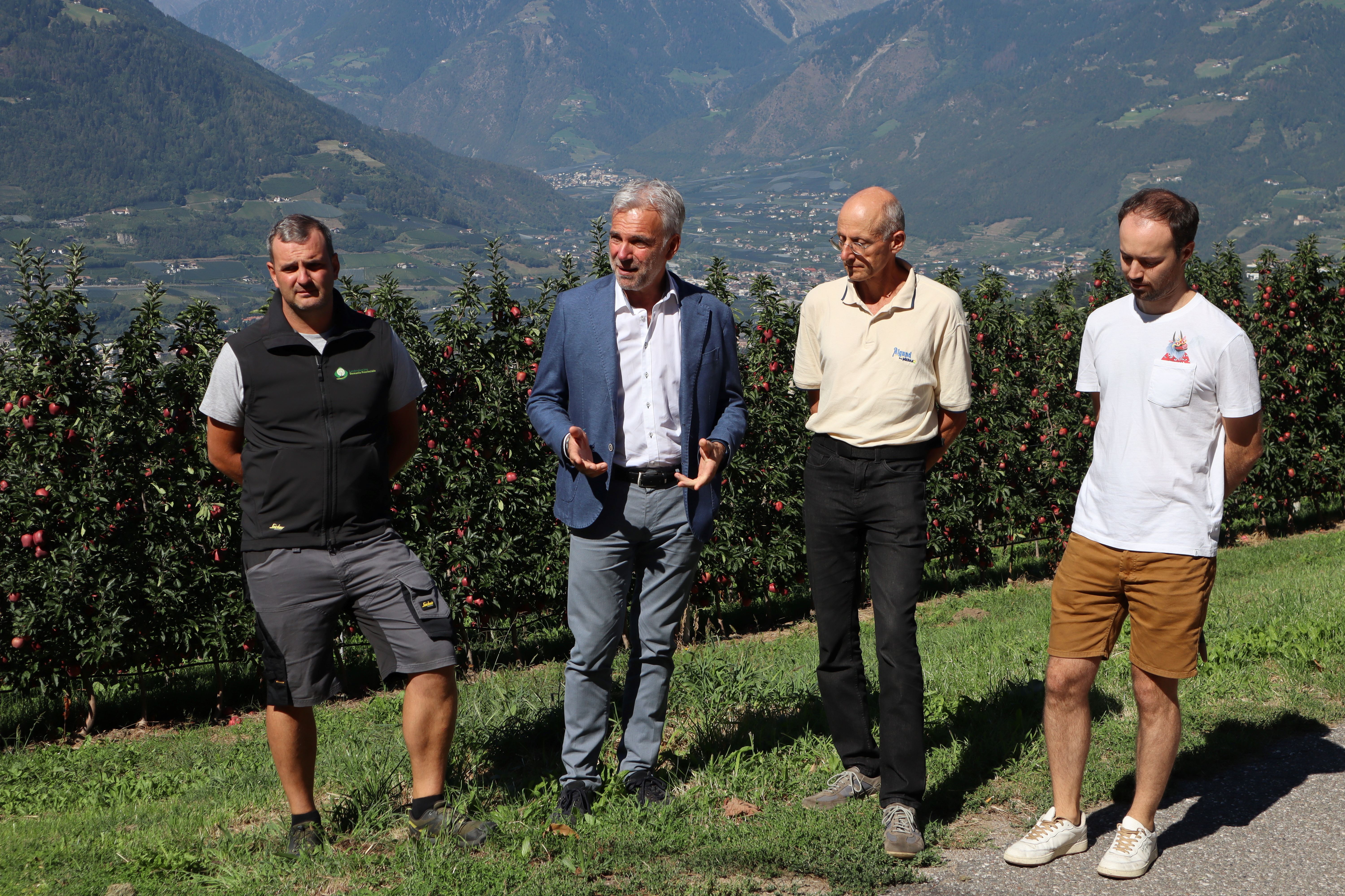 Beim Lokalaugenschein am Moarhof: (v.l.) Der Betriebsleiter des Agrarbetriebs Laimburg Stephan Raffl, Landesrat Arnold Schuler, der Leiter der Arbeitsgruppe Boden, Düngung und Bewässerung am Versuchszentrum Laimburg, Martin Thalheimer und Projektmitarbeiter Lorenzo Panizzon (Foto: LPA/Ressort Land- und Forstwirtschaft)