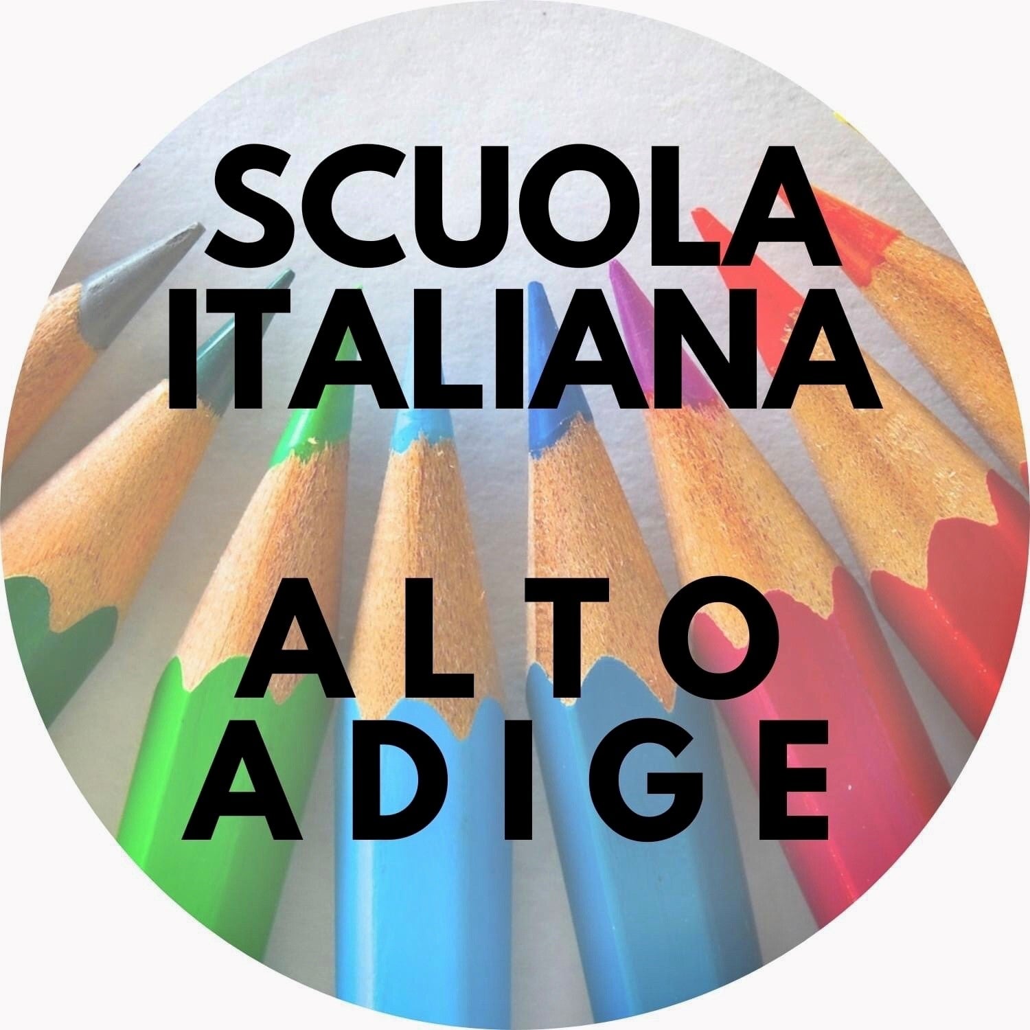 Giovedì (7 marzo) l’assessore all'Istruzione, Marco Galateo, incontrerà la stampa per condividere gli obiettivi e i traguardi della scuola italiana nel corso della legislatura (Foto: ASP/Scuola italiana)