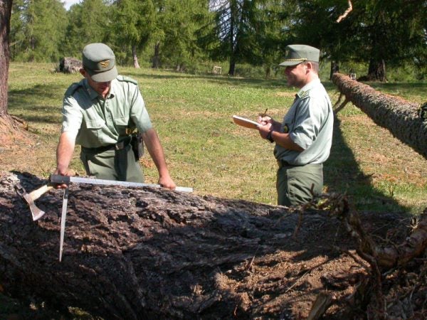 Quale corpo tecnico con funzioni di polizia, il Corpo forestale provinciale ha sempre indossato l'uniforme. In dotazione, per i comandanti di stazione, un nuovo distintivo d'ufficio (Foto: ASP/Corpo forestale provinciale)