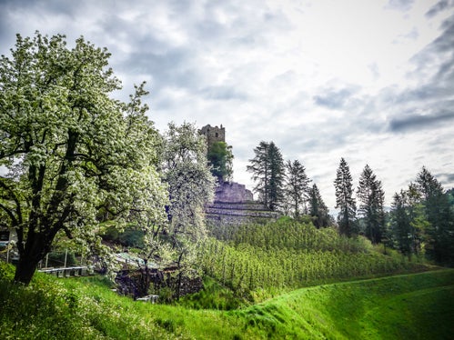 Immagine del mese di aprile 2026: Zwingenburg a Prissiano (Foto: USP/Martin Geier)