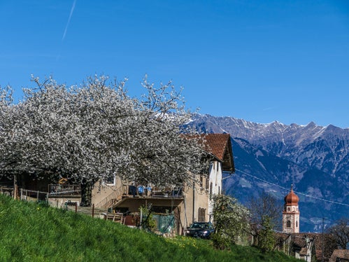 Immagine del mese di aprile 2026: Tesimo (Foto: USP/Martin Geier)