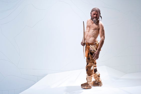 Das Archäologiemuseum in Bozen widmet der weltbekannten Mumie Ötzi breitem Raum, während der Arbeiten zum Austausch der Kühlzelle wird die Mumie in einem speziellen, maßgefertigten Gefrierschrank aufbewahrt. In dieser Zeit ist die Mumie nicht zu sehen, die Nachbildung (im Bild) kann aber besichtigt werden. (Foto: Südtiroler Archäologiemuseum)