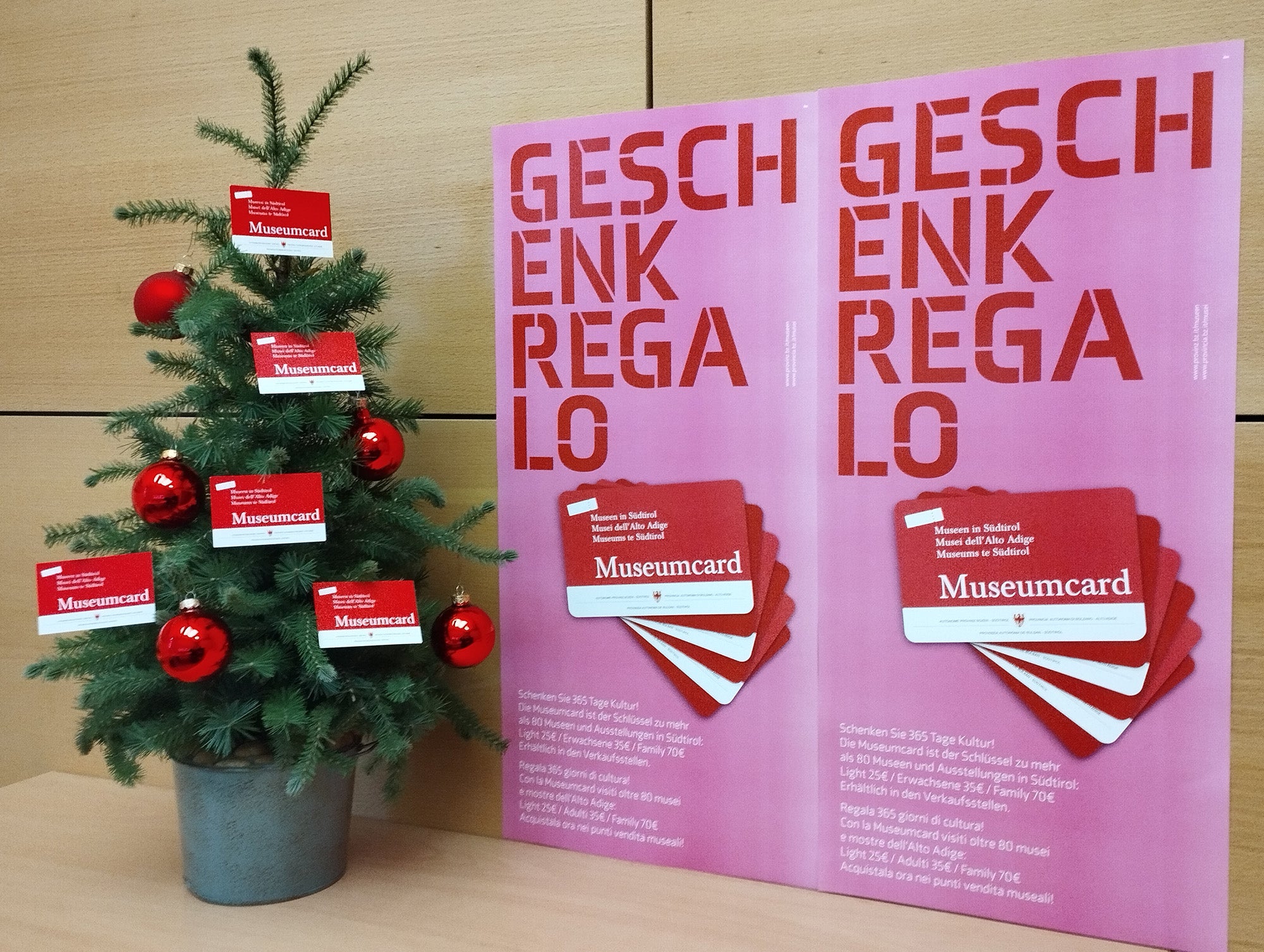 Die vielfältige Museumswelt in Südirol kann auch im Winter mit der Museumcard zu einem günstigen Preis entdeckt werden. Die Museumcard bietet sich auch als Weihnachtsgeschenk an. (Foto: LPA/Amt für Museen und museale Forschung)