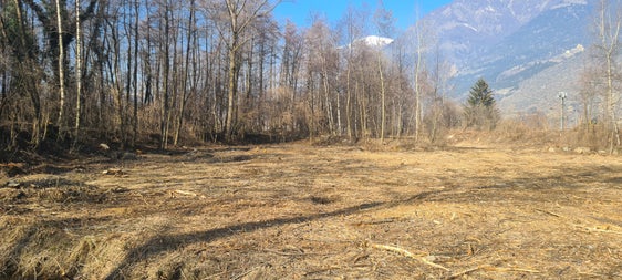 Nel bacino di ritenzione del Fosso di Tarres, vicino alla zona sportiva di Laces, la squadra di controllo sta ripulendo il letto del torrente, sfoltendo le sponde e tagliando gli alberi. (Foto: USP/Ufficio Sistemazione bacini montani ovest)