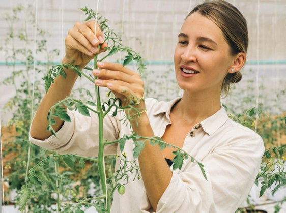 La sede di Oris del Centro di Sperimentazione Laimburg cerca un posto di assistente agrario e forestale part-time a tempo indeterminato. (Foto: Pexels. La foto può essere utilizzata solo per la pubblicazione a questo comunicato stampa).