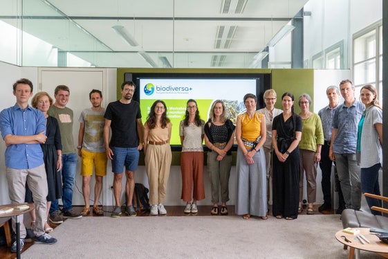 Partenariati Ue come Biodiversa+ consentono a ricercatori e ricercatrici dell'area europea di rafforzare le reti internazionali e scambiare competenze a livello europeo. (Foto: USP/Eurac Research)