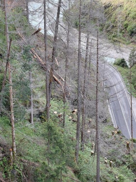 Die Situation der Wälder in der Gadertaler Schlucht ist sehr schwierig, große Waldflächen in sehr steilem und schwierigem Gelände sind durch Borkenkäferbefall geschädigt, vor allem in den beiden Hauptbereichen von Montal in der Gemeinde St. Lorenzen bis Zwischenwasser in der Gemeinde Enneberg und zwischen Zwischenwasser und Pikolein in der Gemeinde St. Martin in Thurn. Nun wurden borkenkäfergeschädigte Bäume entfernt. (Foto: LPA/Forstinspektorat Bruneck/Forststation St. Vigil in Enneberg)