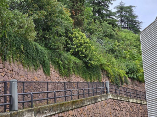 I lavori ormai conclusi in via Fago a Bolzano hanno aumentato la protezione contro la caduta di massi. (Foto: USP/Agenzia Demanio provinciale)