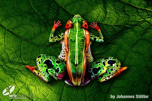 Johannes Stötter hat 2013 mit seinem&nbsp;Frosch-Motiv weltweite Aufmerksamkeit geerntet. 