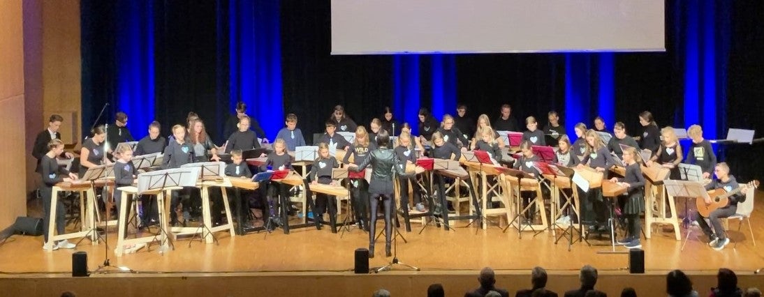 Gemeinsam mit deutschen und österreichischen Zitherspielenden hat Südtirols Zitherjugend in der Freiheitshalle in Hof bei Salzburg gerockt. (Foto: LPA/Stefan Mücksch)