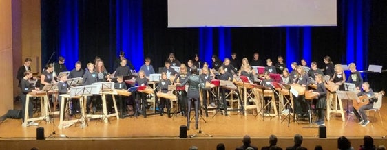 Gemeinsam mit deutschen und österreichischen Zitherspielenden hat Südtirols Zitherjugend in der Freiheitshalle in Hof bei Salzburg gerockt. (Foto: LPA/Stefan Mücksch)