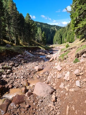 I temporali della scorsa estate hanno causato danni rilevanti al Rio della Madonnina. (Foto: ASP/Ufficio Sistemazione bacini montani Nord)