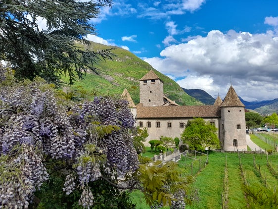 Blick mit Blauregen (Glyzinie) und regenbringenden Wolken auf Schloss Maretsch in Bozen am 24. April. (Foto: LPA/Maja Clara)