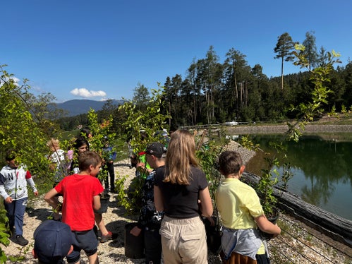 Un'attività diversa rispetto alla quotidianità scolastica e un impegno per la natura e il futuro: gli alunni della scuola elementare di Aica di Fiè hanno partecipato con entusiasmo alla campagna di piantumazione di siepi presso il lago artificiale di Umes (Foto: ASP/Marcella Morandini)