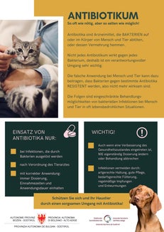 Mit einer Flyeraktion sensibilisieren Landesveterinärdienst und der tierärztliche Dienst des Sanitätsbetriebs Haustierhalterinnen und Haustierhalter für einen verantwortungsbewussten Umgang mit Antibiotika. (Foto: LPA)
