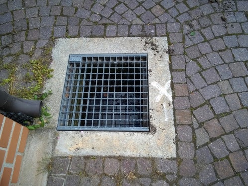 L’acqua stagnante presente nei vari contenitori deve essere svuotata sul prato e non nel tombino o nelle caditoie, questo per evitare di creare nuovi ristagni favorendo in questo modo la diffusione e la proliferazione della zanzara tigre (Foto: Appa Bolzano)