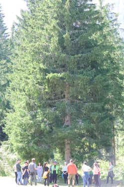 Den Wald mit allen Sinnen erleben die Teilnehmerinnen und Teilnehmer am zweitägigen Waldpädagogik-Seminar in der Forstschule Latemar.  (Foto: LPA/Maja Clara)