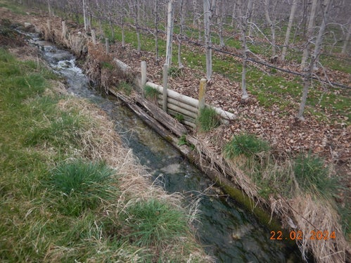 Bei Ortsaugenscheinen stoßen die Zonentechniker des Landesamtes für Öffentliches Wassergut immer wieder auf Materialablagerungen innerhalb des Bannstreifens: Für diese gilt ein Mindestabstand von fünf Metern. (Foto: LPA/Landesamt für Öffentliches Wassergut in der Agentur für Bevölkerungsschutz)